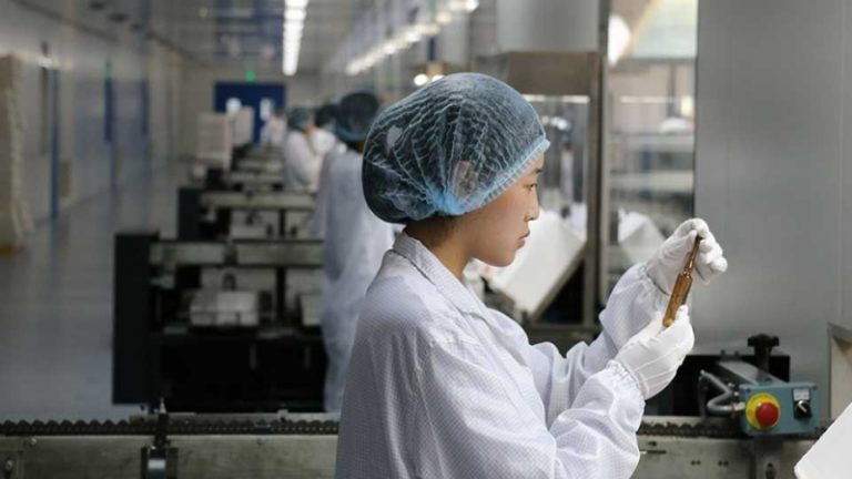 pharma glass packaging